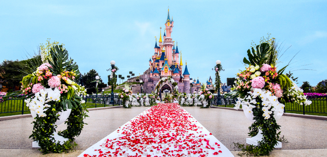 Paris Disneyland Transfers